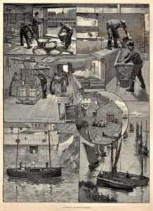 Illustrated London News 1880's