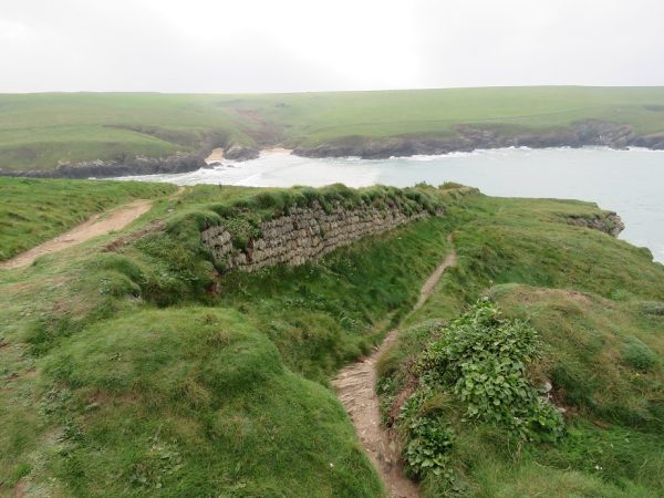 Cornish Stone Hedge