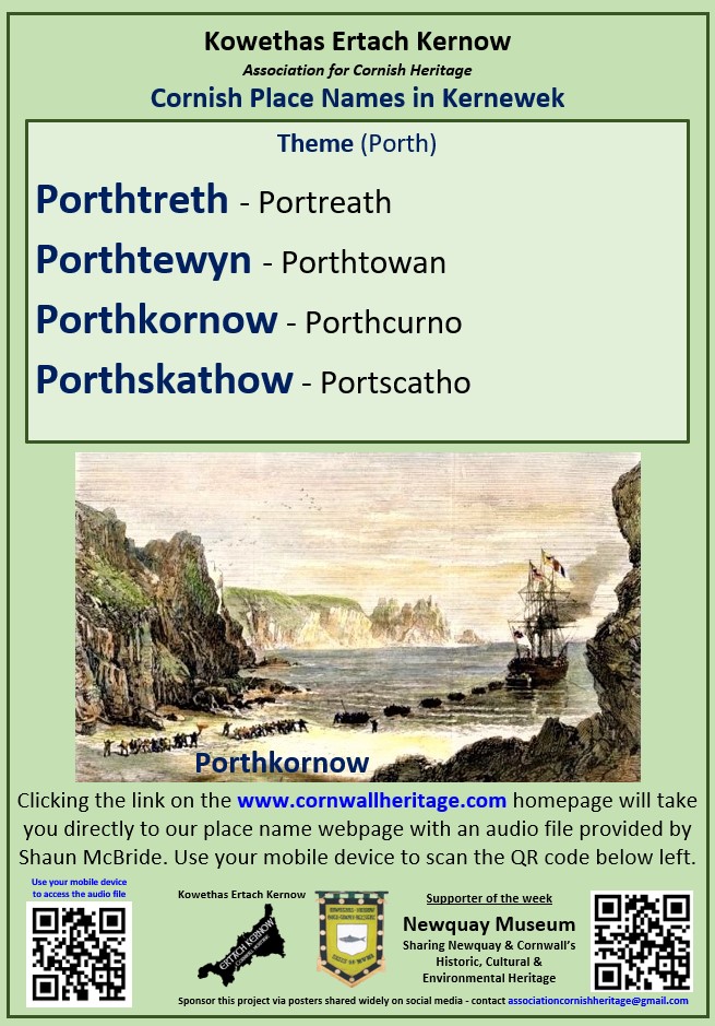 CPN - Porth Week 10 - Poster