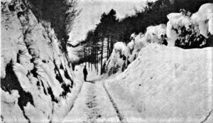 Main road berween Liskeard and Torpoint March 1891