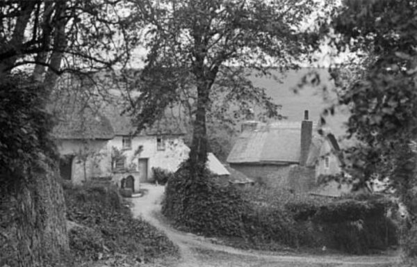 Ruan Lanihorne thatched cottages c1900 (Courtesy Royal Cornwall Museum)