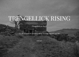 Trengellick Rising website