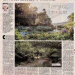  Ertach Kernow - Cornwall's wonderful gardens