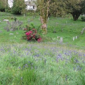 St Julitta Churchyard grounds