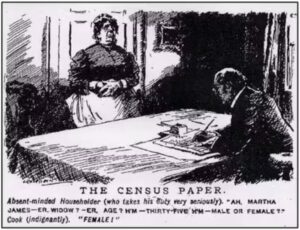 Census cartoon 19th century