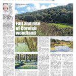 The fall and rise of Cornish woodland