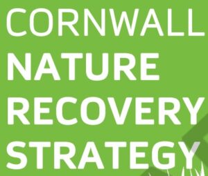 Cornwall Nature Recovery Strategy