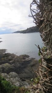 Fowey Estuary from Polruan Blockhouse towards St Catherine's Castle