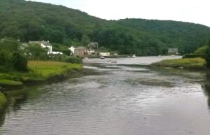 River Lerryn towards the Red House