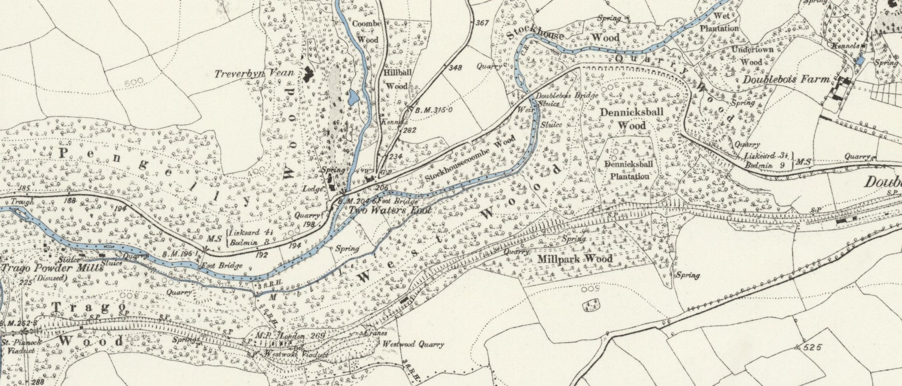 Glynn Valley (Eastern) 1881 Ordnance Survey