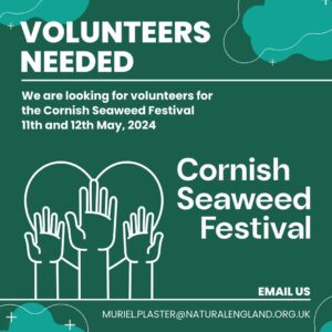 Cornish Seaweed Festival 11th May