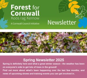 Forest for Cornwall Spring Newsletter Link