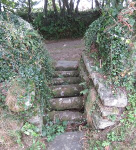 Warbstow Church historic stone 'Cattle Grid' style