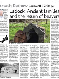 Ladock: Ancient families, The return of beavers Ladock: Ancient families, The return of beavers