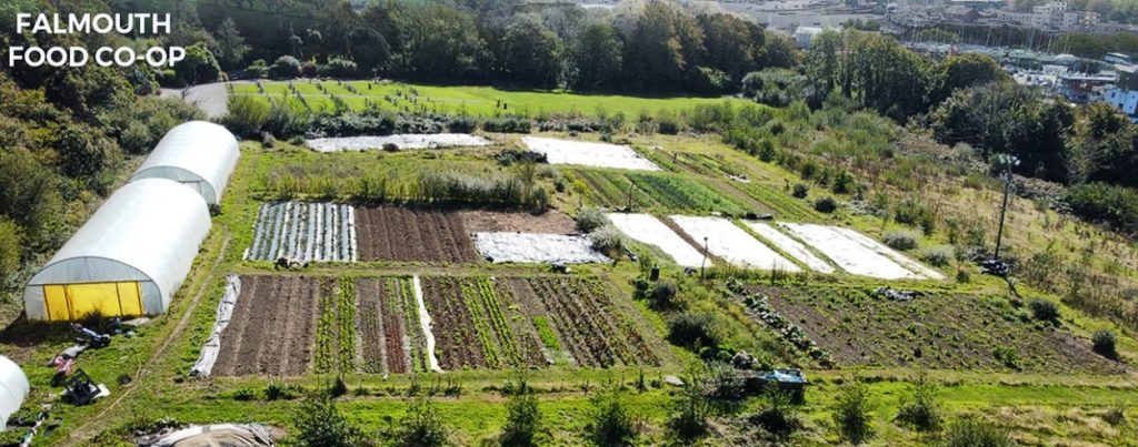 Market Garden at Loveland's community field in Penryn